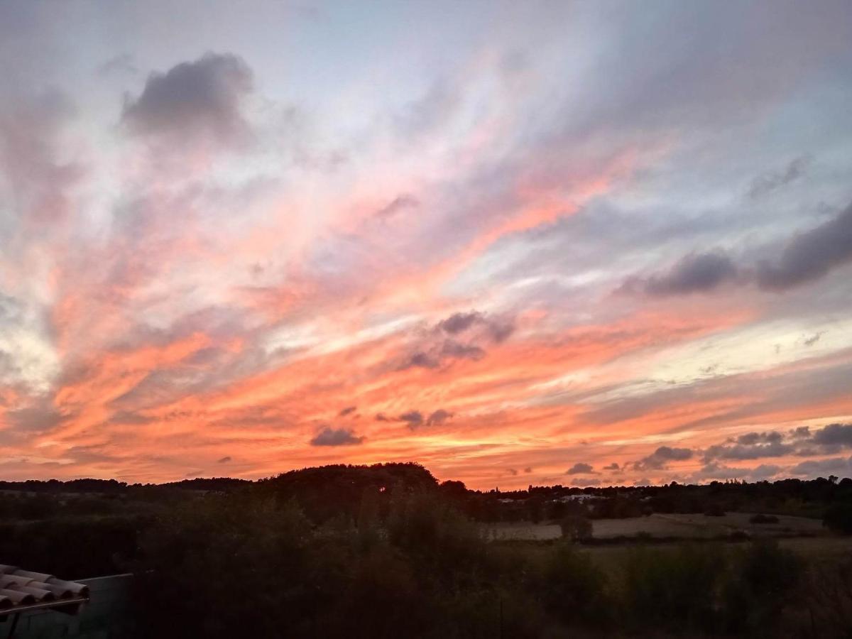 Au Soleil Couchant Villemoustaussou